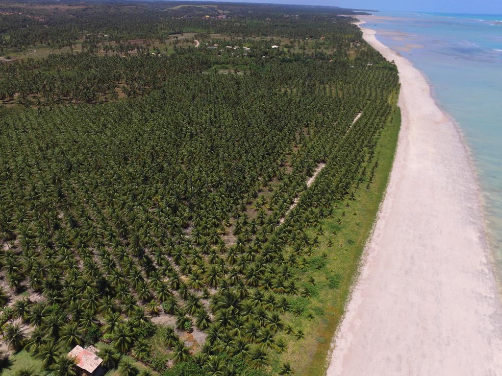 Villas Tature São Miguel dos Milagres Dış mekan fotoğraf
